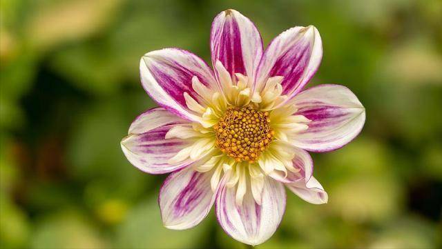 男人不疼你，不在乎你，沟通无用，别抱怨指责，你得学会“治”他