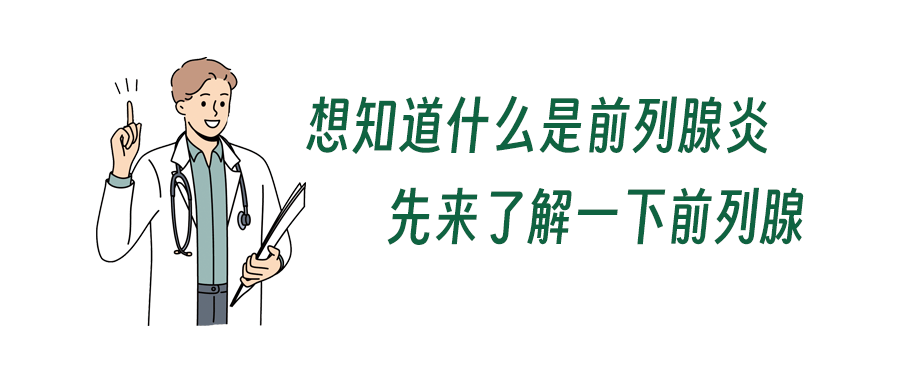 光邦光子治疗仪：50%男性中招的“前列腺炎”，究竟是怎么回事？