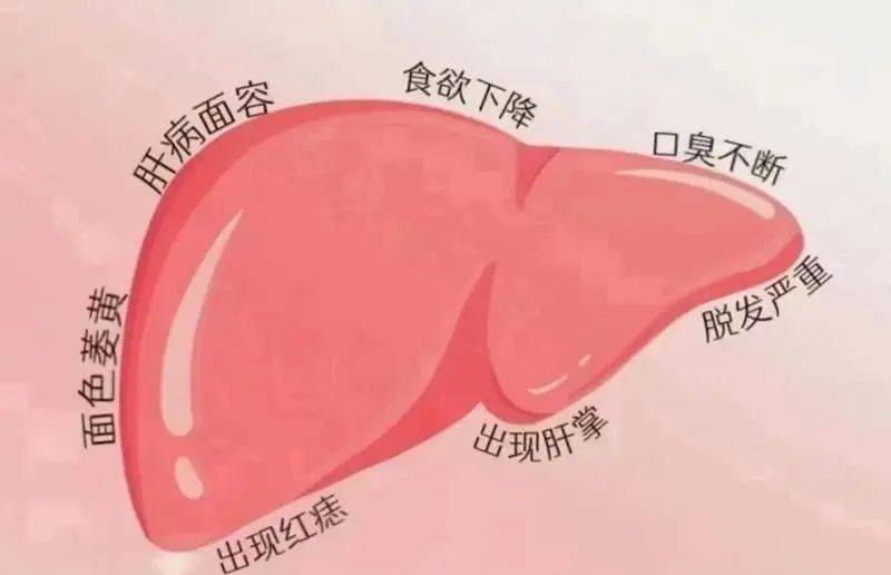 原创            杨小红主任：血糖高放屁多，问题出在肝和脾，把气排了，血糖很快就降！