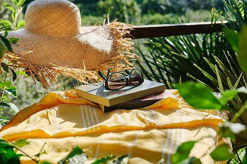 新书速递 | “在那个古老的不再回来的夏日”，让这些书带你找回心底的荫凉