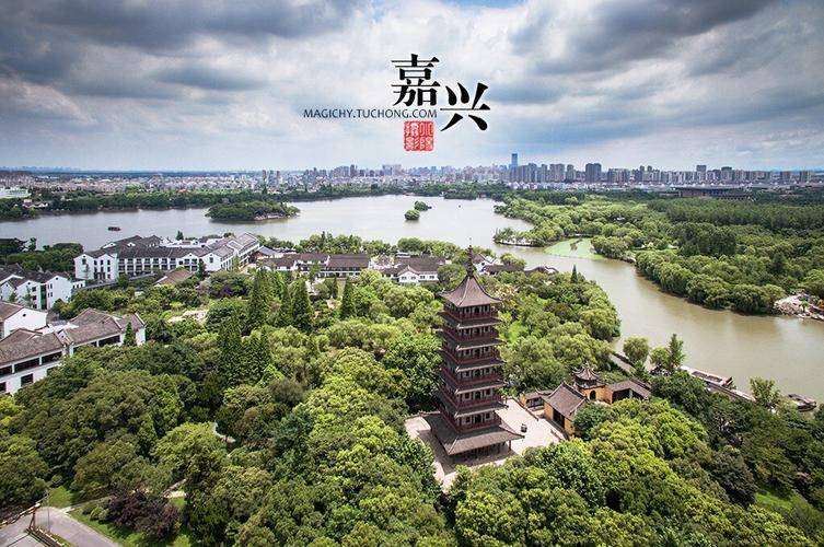 政企媒携手“全民健康普惠八大行动”，打造口腔健康服务嘉兴样本