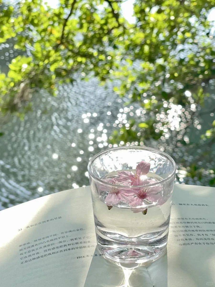 你的问题都是由自己的信念造成的 | 《健康之道》选译