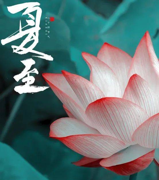 夏至桩“趁热站”|元气满满很简单