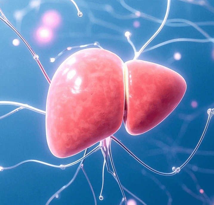 临汾面食控注意！高碳水饮食搭配这 3 招，远离脂肪肝