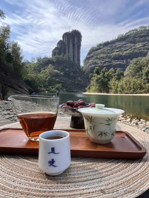 不同体质的人如何喝茶减肥