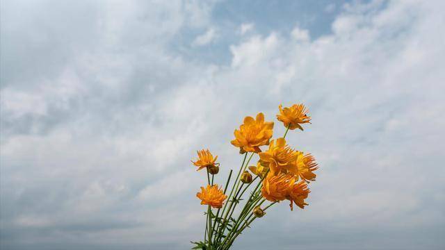 让男人越来越爱你，离不开你，你要这样做