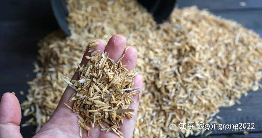 【最新研究】大米麸皮抗抑郁新突破：SAT-3D数据揭秘 49%症状改善！