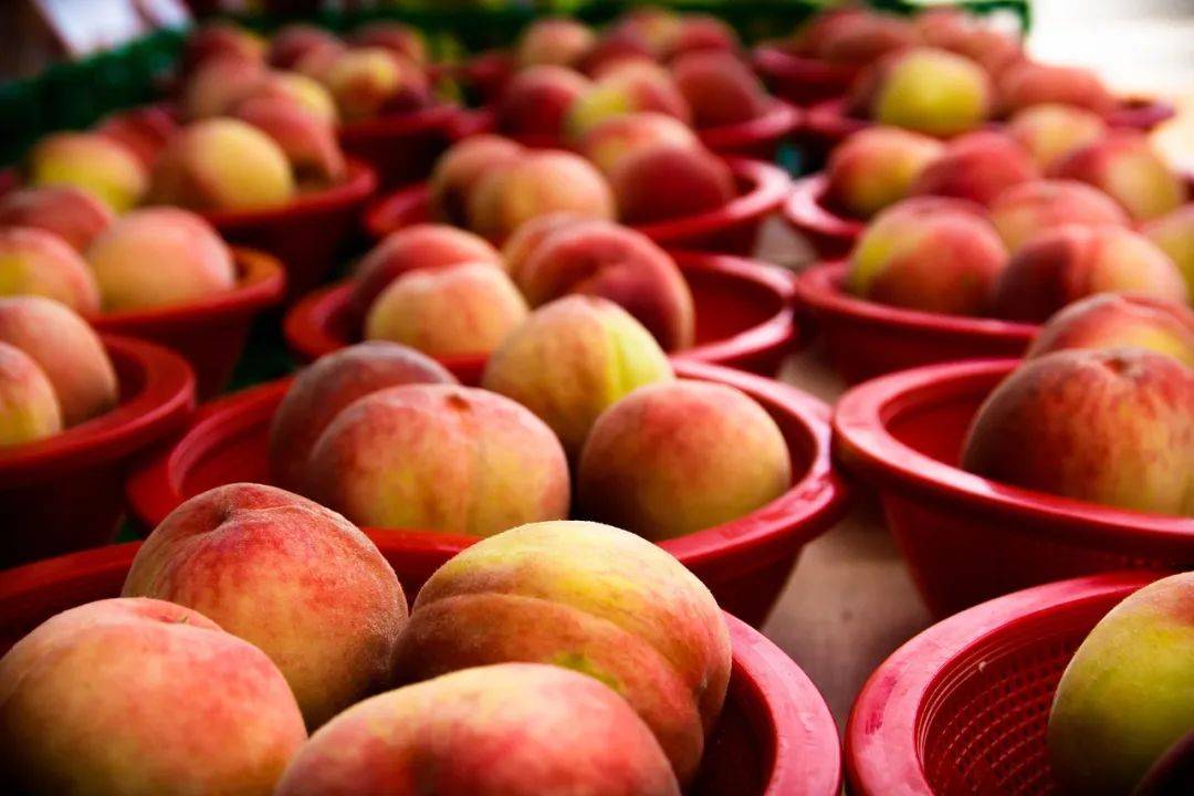 6月，孩子适合吃的应季水果