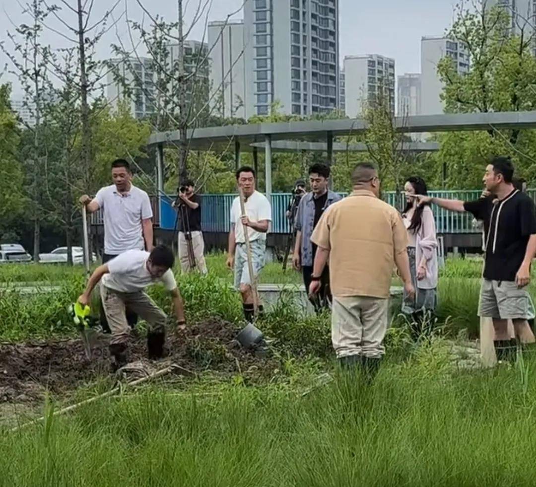 原创            49岁撒贝宁录综艺，9位明星中他最专注，长红数年非偶然