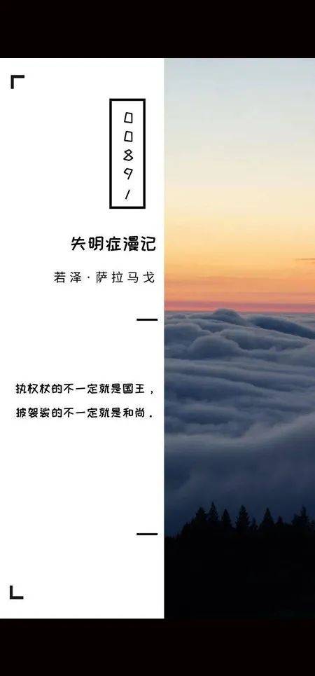 名作鉴赏丨《失明症漫记》读后感