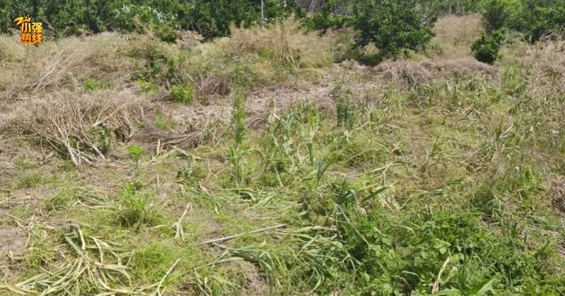 “被偷光了！”浙江有人报警，民警上门一看惊呆：整整100多斤…