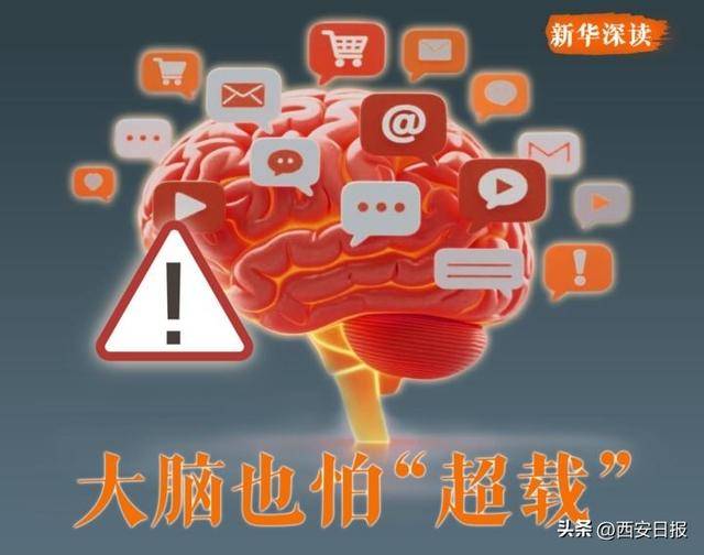大脑也怕“超载”