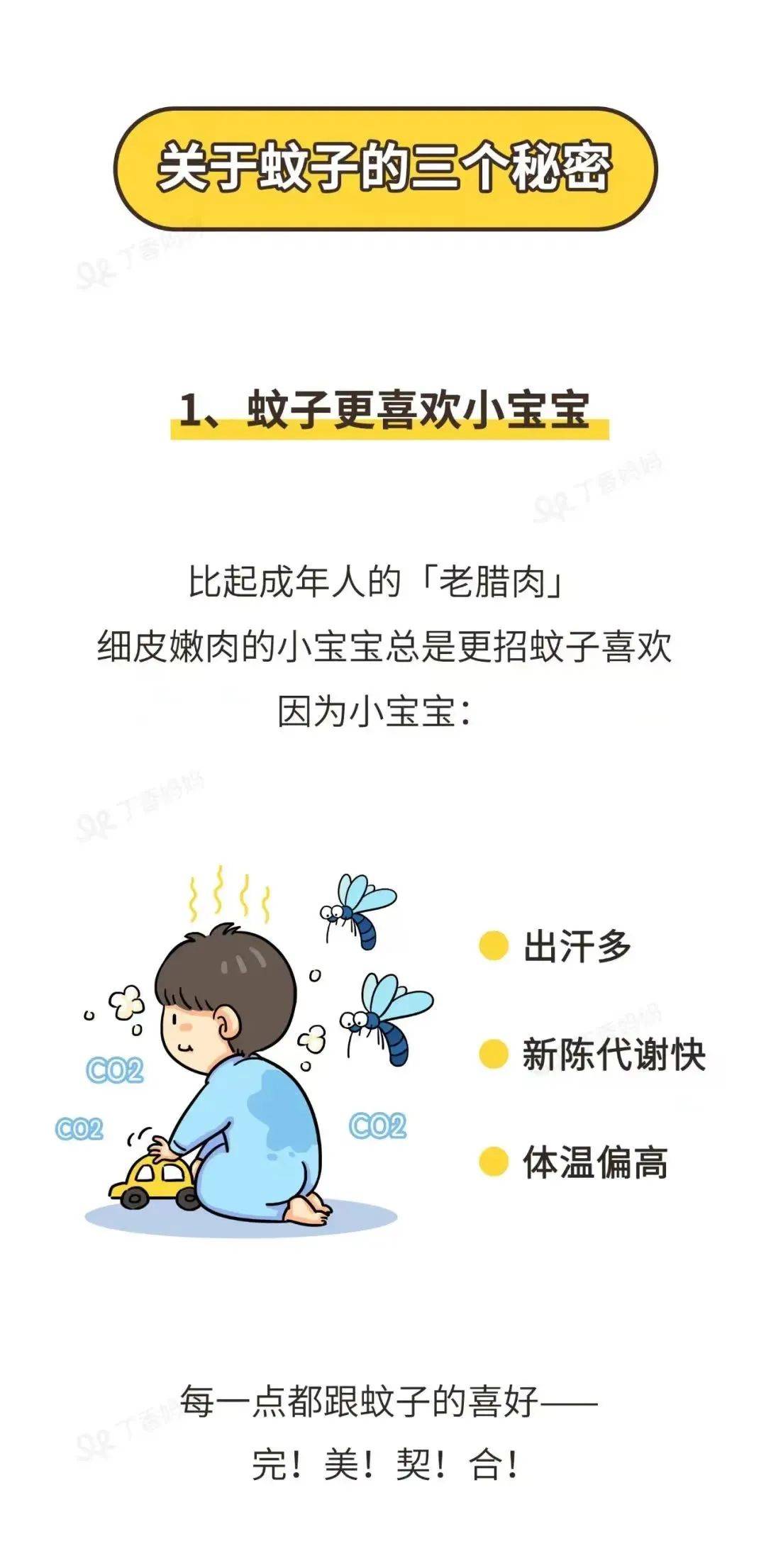 孩子为什么更容易被蚊子咬？答案和你想的不一样