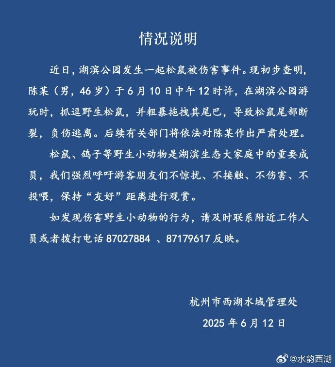 西湖景区通报“野生松鼠尾巴被拔断”：46岁男子粗暴拖拽，松鼠负伤逃离，将严肃处理