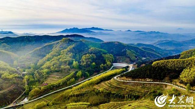 潍坊诸城：“美丽乡村”催生“美丽经济”