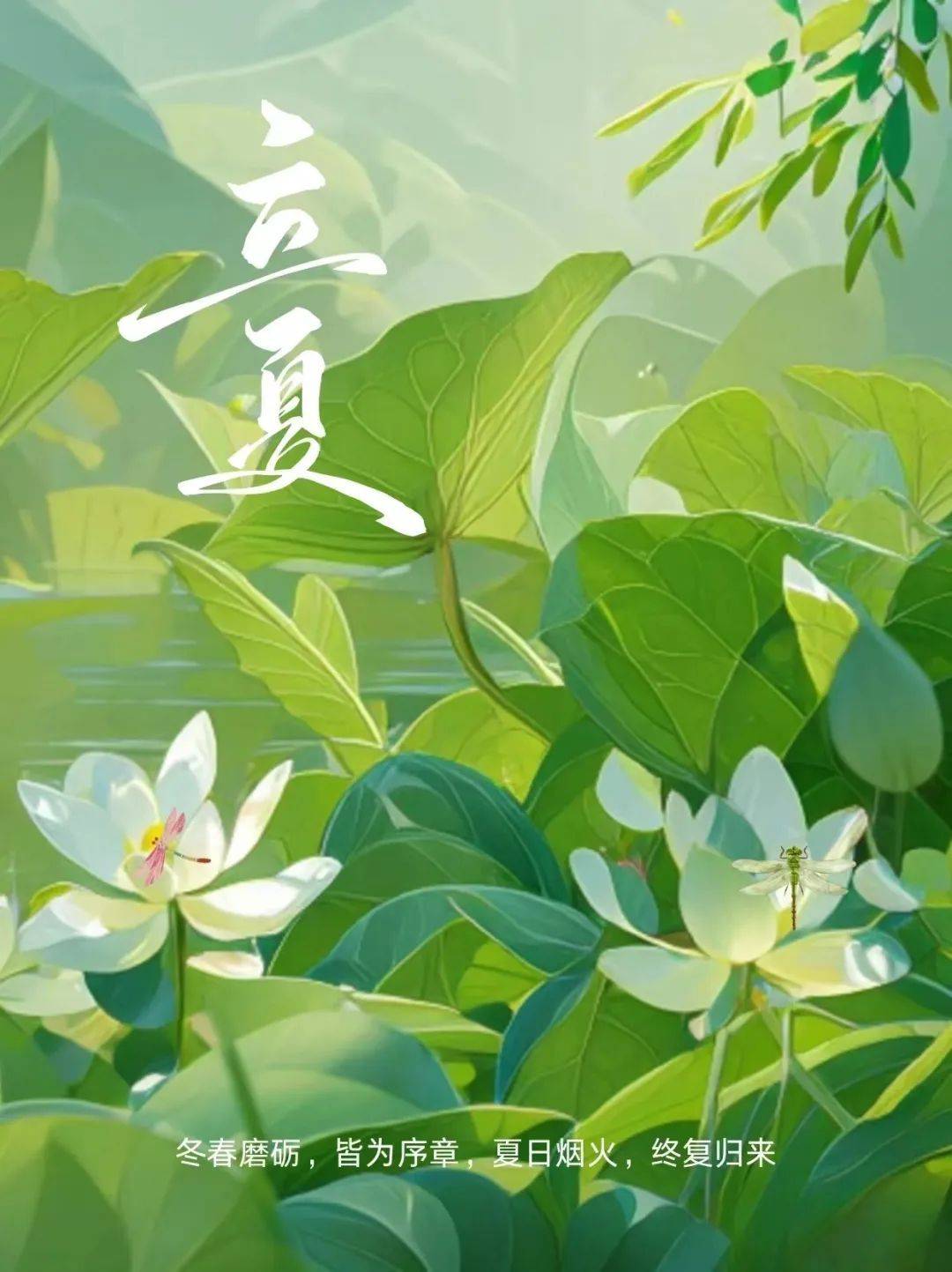 李访瑞分享：藏医教你如何在立夏后进行养生