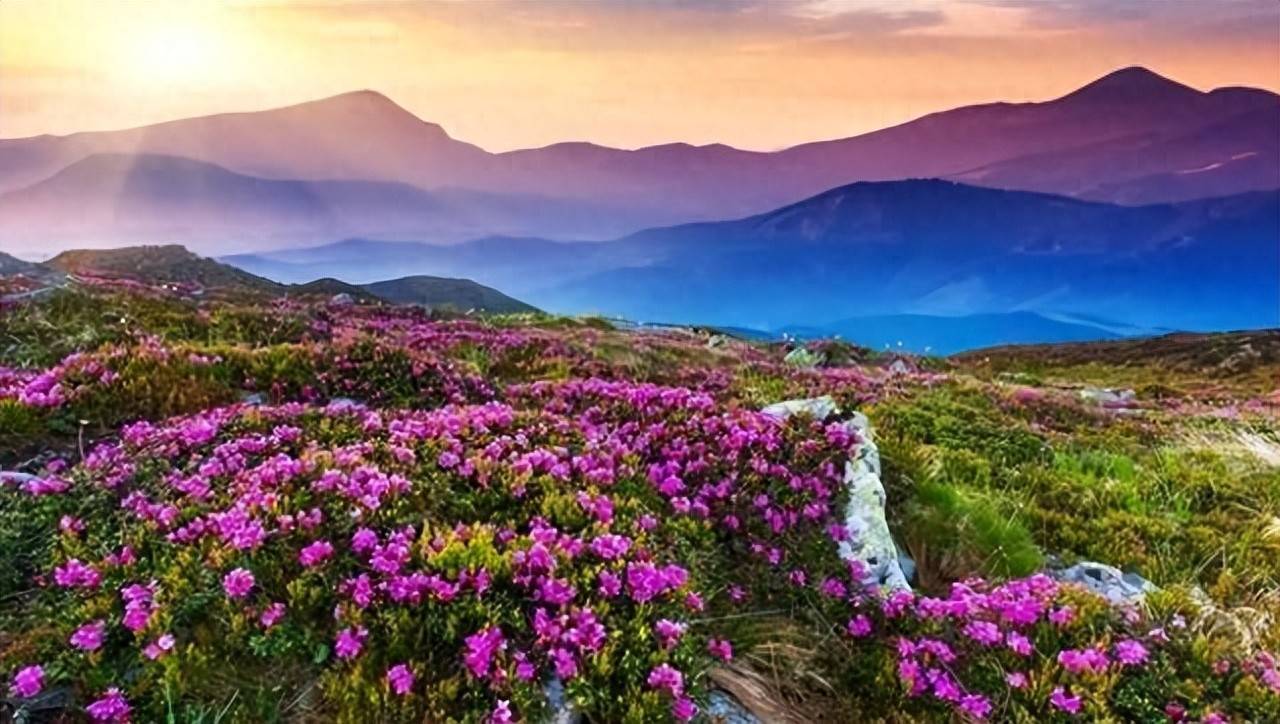 奋斗是实现梦想的阶梯