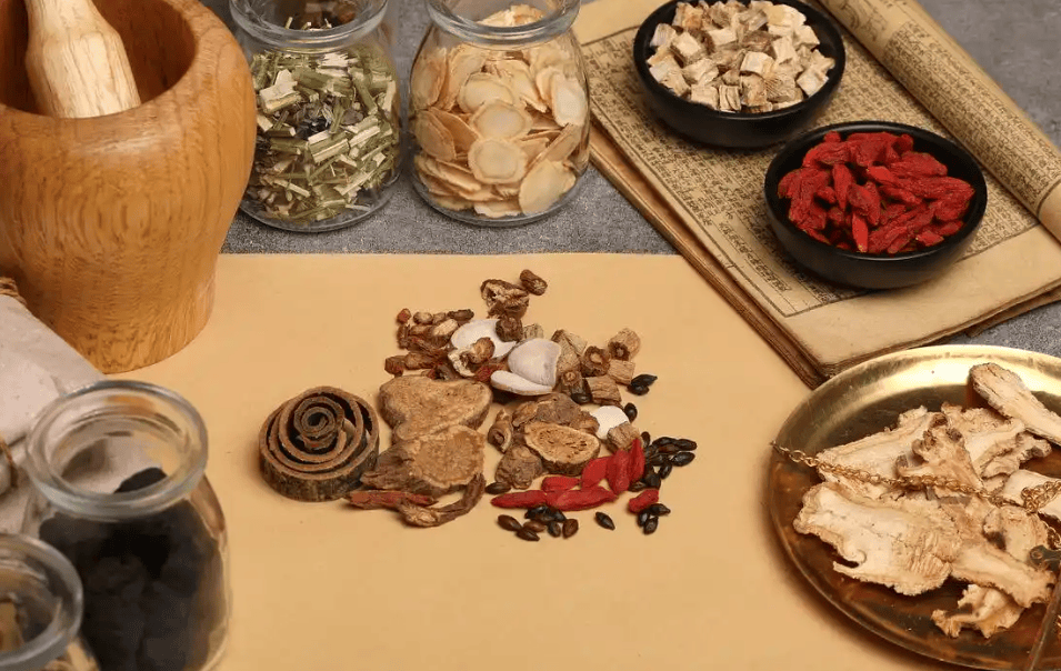 中医肿瘤专家武春青主任 分享：中医防癌智慧与实用技巧