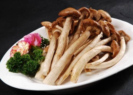 养生：吃茶树菇的好处