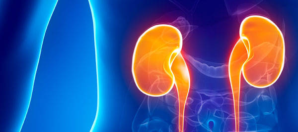 肾损伤隐患别忽视！东京高尿酸防护全攻略