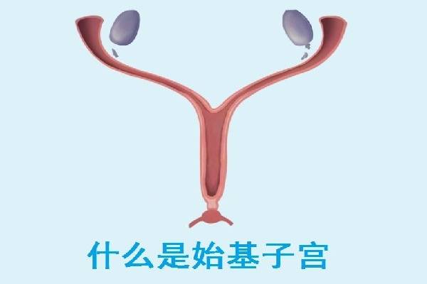 始基子宫患者适合通过吉尔吉斯斯坦第三方辅助生殖助孕码?