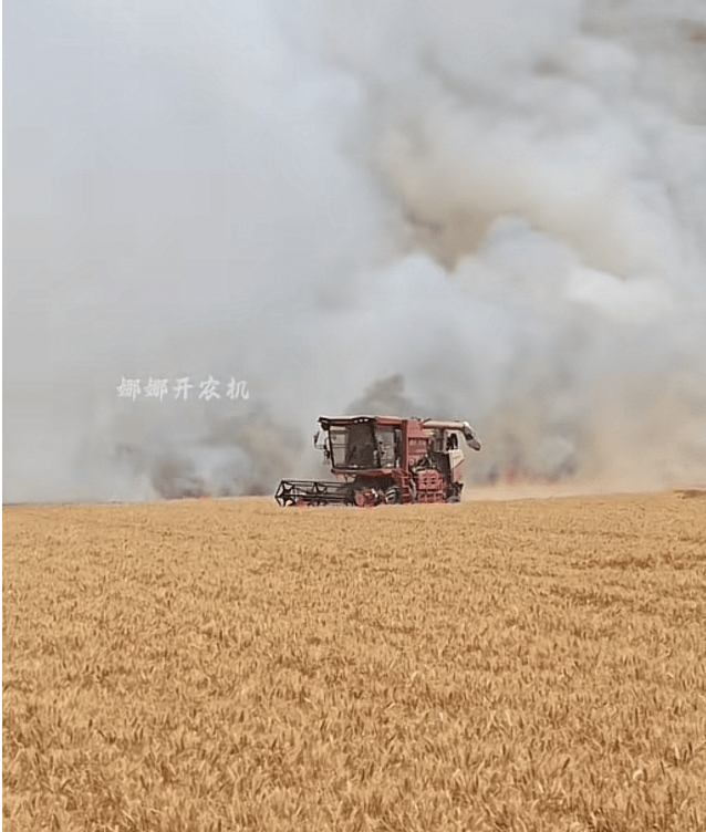山东一地麦田着火99年女生开农机冲入火场抢收麦子开出阻火带：我们多收点损失就少点