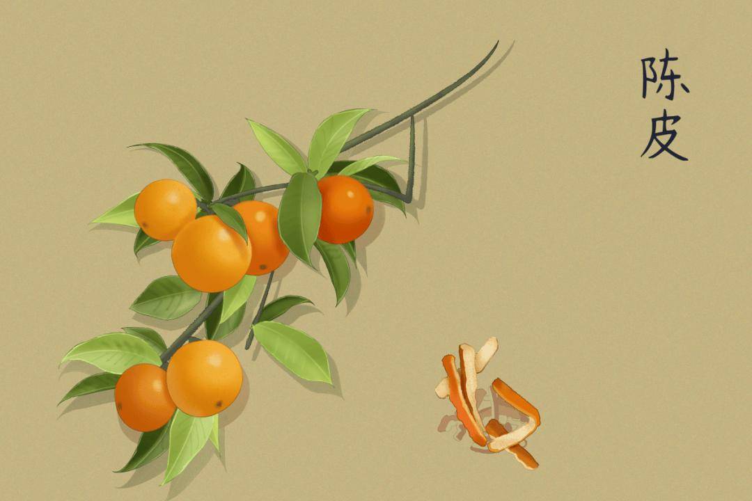 夏季用这一物泡水，竟有这么多好处！但3类人不适宜食用，否则“养生水”变“伤胃水”