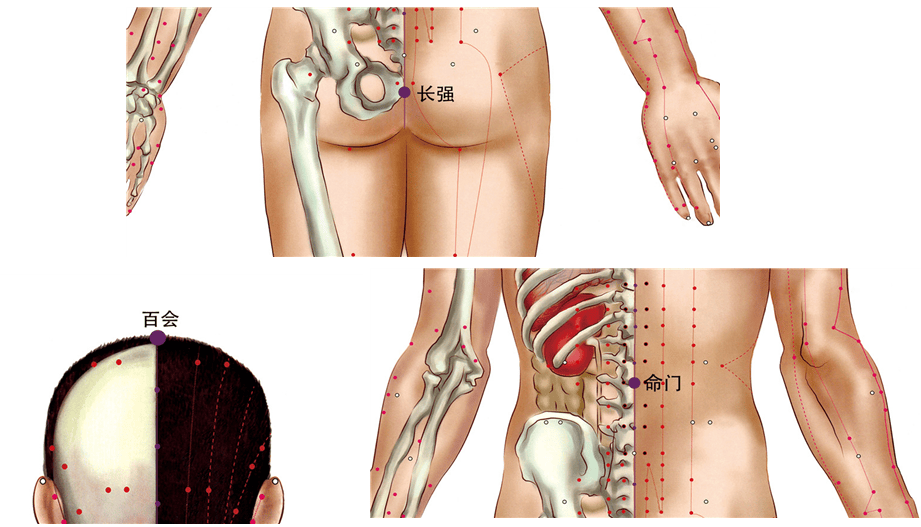 气不足则胖，血不足则瘦！两个神奇的方子，一个治胖，一个治瘦！