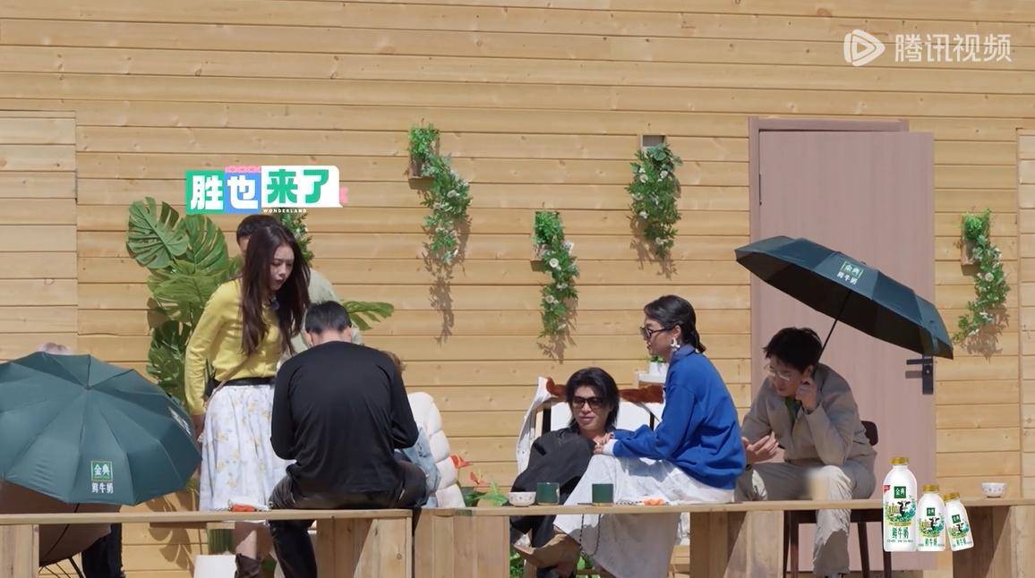 原创            导演没辙了，《五十公里桃花坞5》失色，3大原因揭秘！