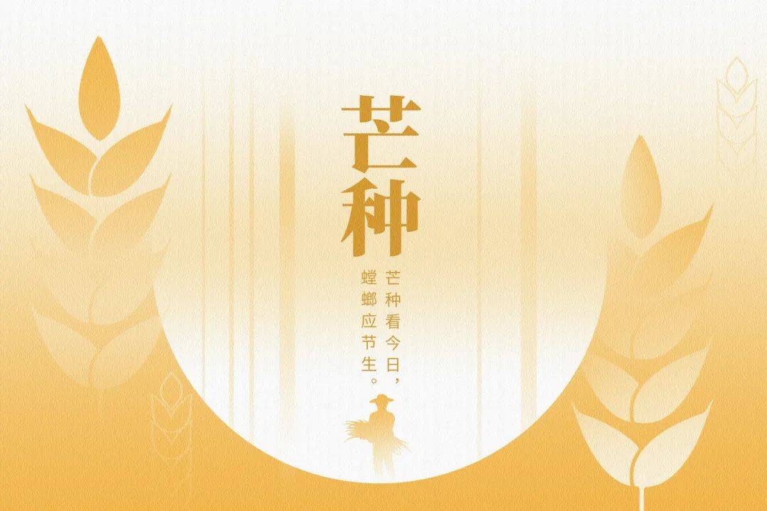 【中医妇科·节气养生】芒种到，湿热闹！正是清热祛湿、健脾养心时！