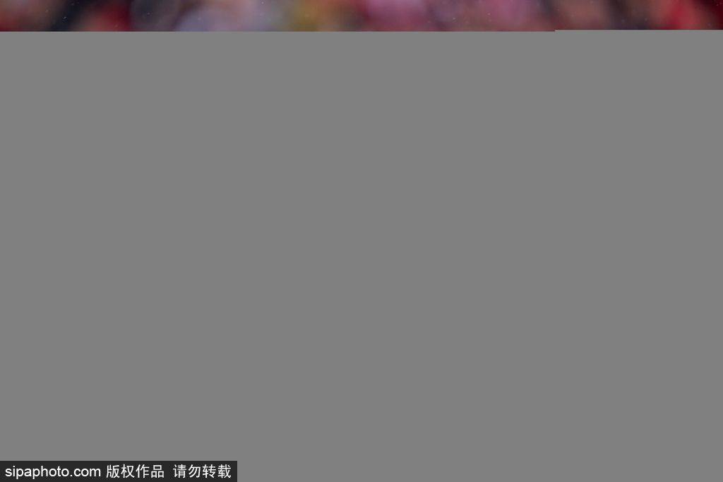 3场2球1助！曼联17岁妖锋横扫土伦杯，丹麦新核弹头已装填！