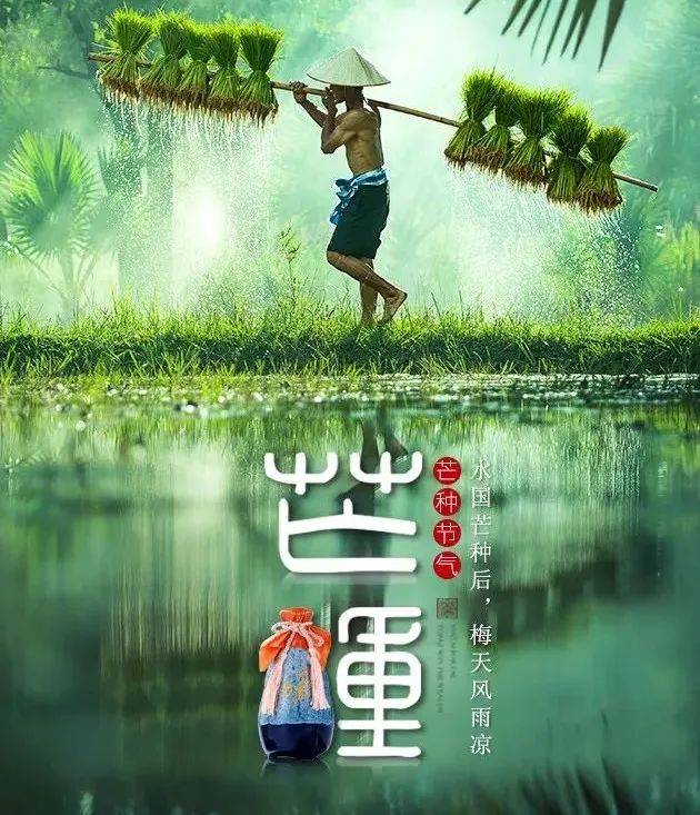 体内湿毒暴涨30%！错过芒种这几天，一年都白养！