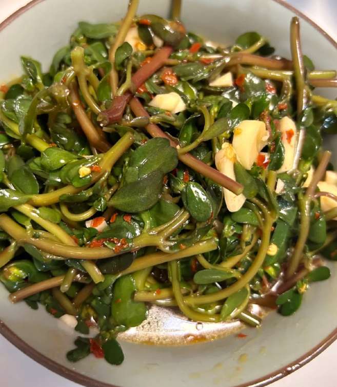 原创            马齿苋太寒凉？焯水后凉拌，消炎祛湿更温和