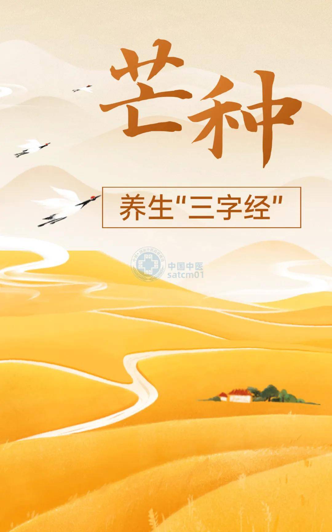 今日芒种，收下这份养生“三字经”