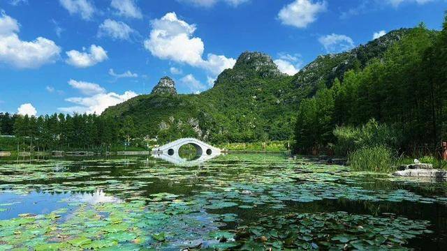 氛围感拉满！桂林这个公园美成油画，随手一拍就是大片