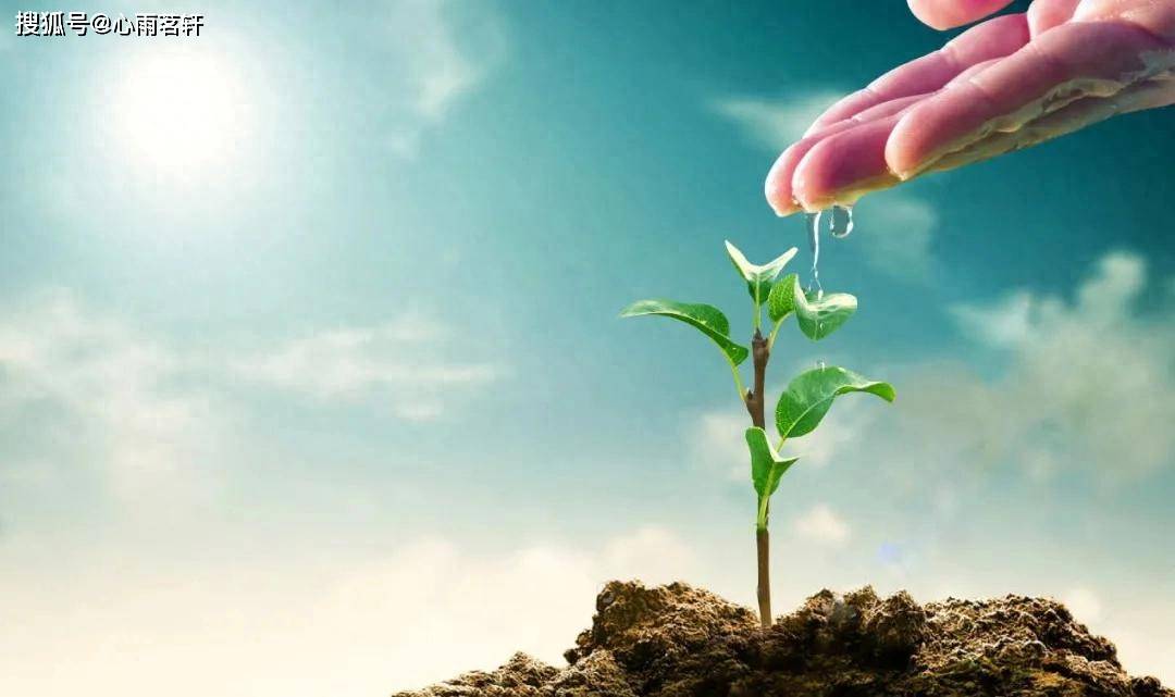 原创            人生思考：生命是一场戏，人间只不过是剧场！