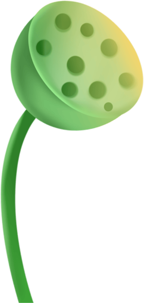 太龙之声丨梅雨时节气候潮湿，人体易受湿邪侵扰，几款食疗方送给您~