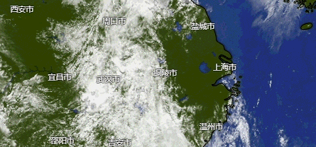 确认：40℃！上海将连续10天高温警告