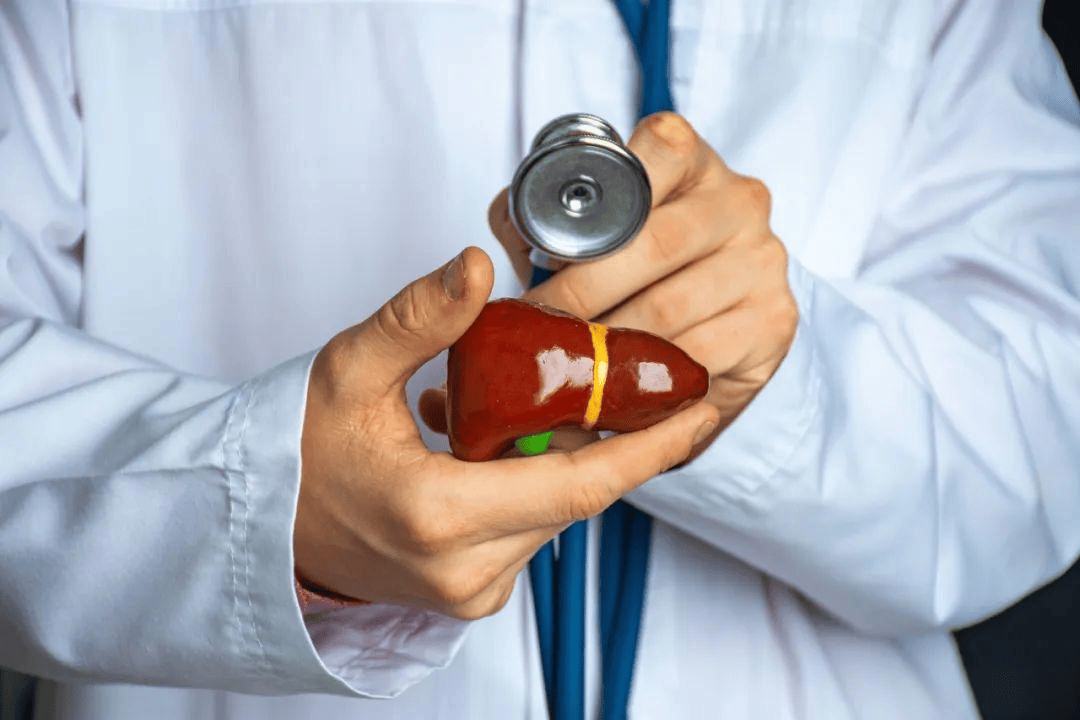 肠道失衡肝受罪，LAIFE「乐轻肝」释放肝脏高压