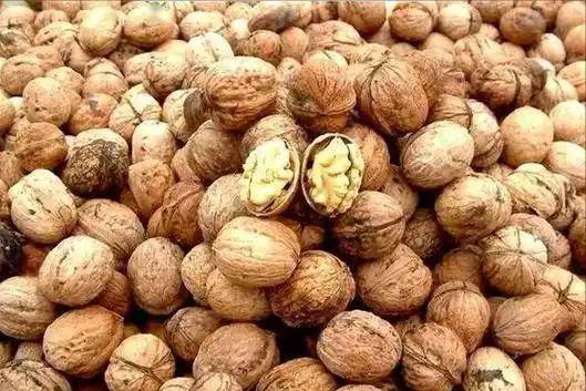 核桃再次被关注！医生发现：常吃核桃的人，或会迎来这4个好处！