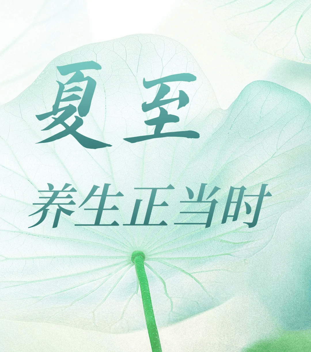 健康养生 | 夏至养生正当时，食疗方“未病先防”，享受“清爽一夏”