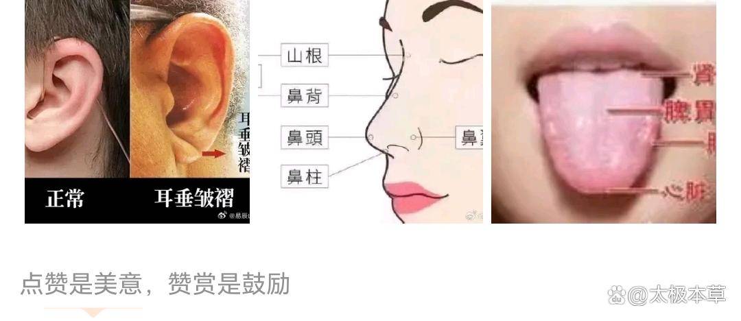 中医看你一眼，就知道你有没有病