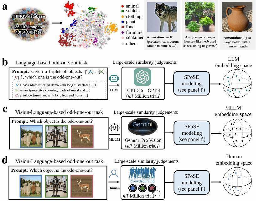 我国科学家首次证实大模型能像人类一样“理解”事物