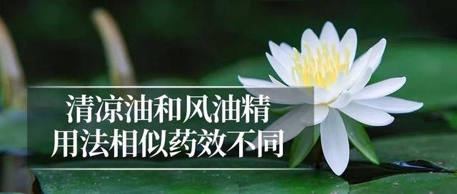 夏日解暑药，你用对了吗？