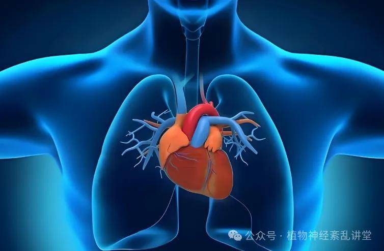 心脏神经官能症复发一次重一次！康复黄金3法则，最后一条太关键！