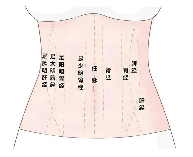 早晚推腹5分钟，赶走“亚健康”和慢性病！