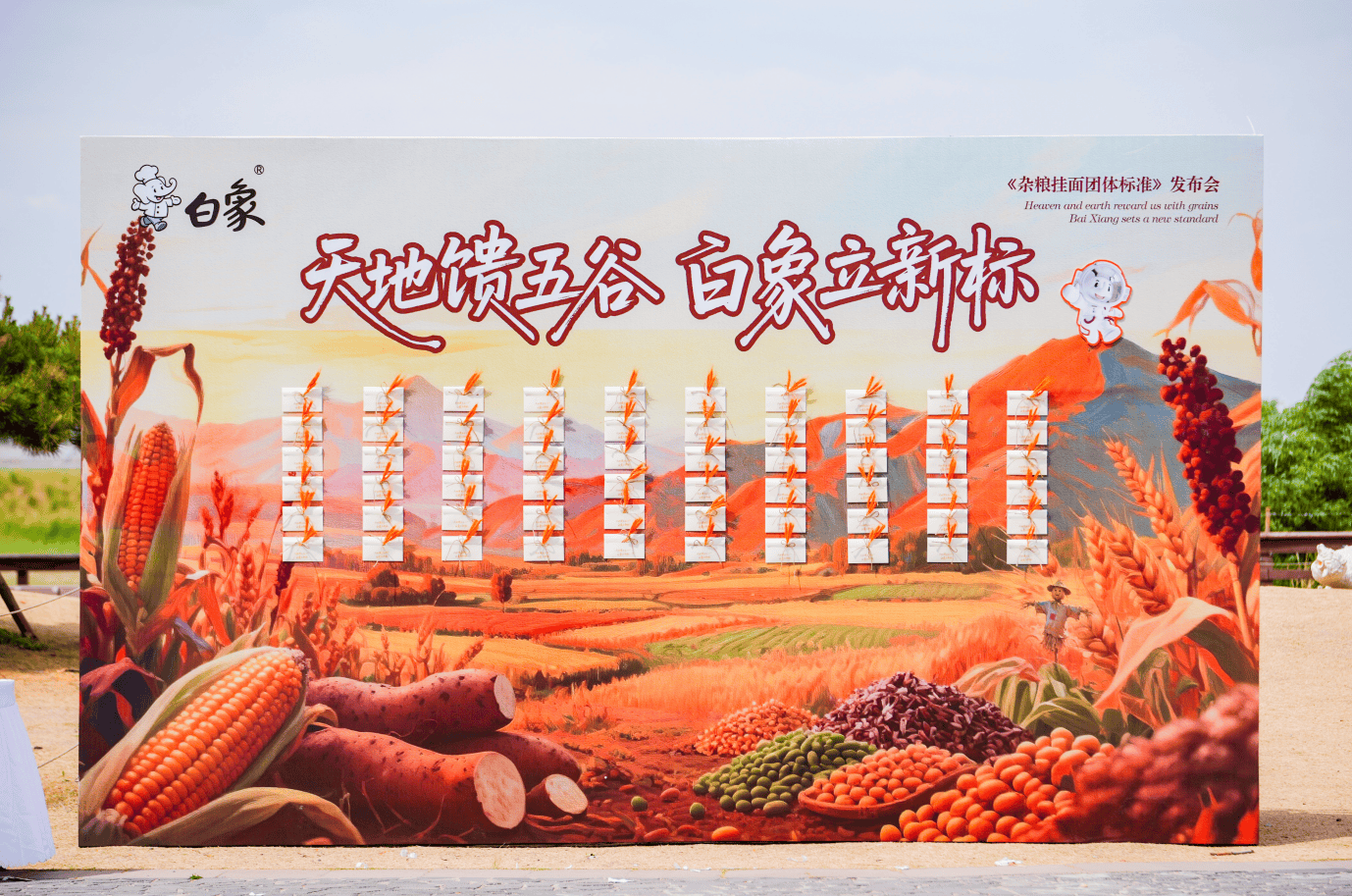 当黄帝内经遇上现代科技：白象杂粮挂面重塑国民膳食结构