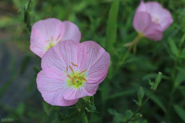 宝，一个男人既想“占着”你，又想消耗你，才会有的行为