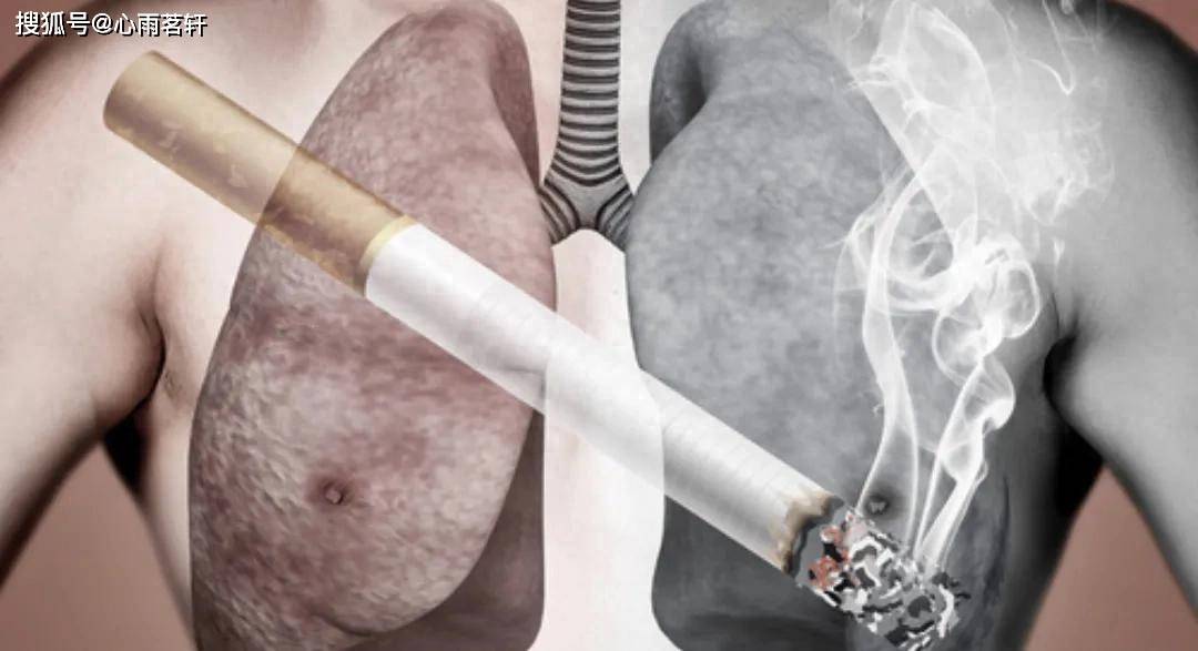 原创            抗癌 中成药：鸭胆子油口服乳液，复方斑蝥胶囊，华蟾素片