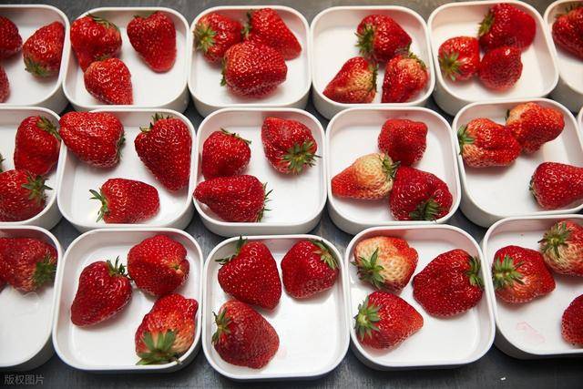 别再瞎猜！吃草莓到底能不能减肥，答案在这儿